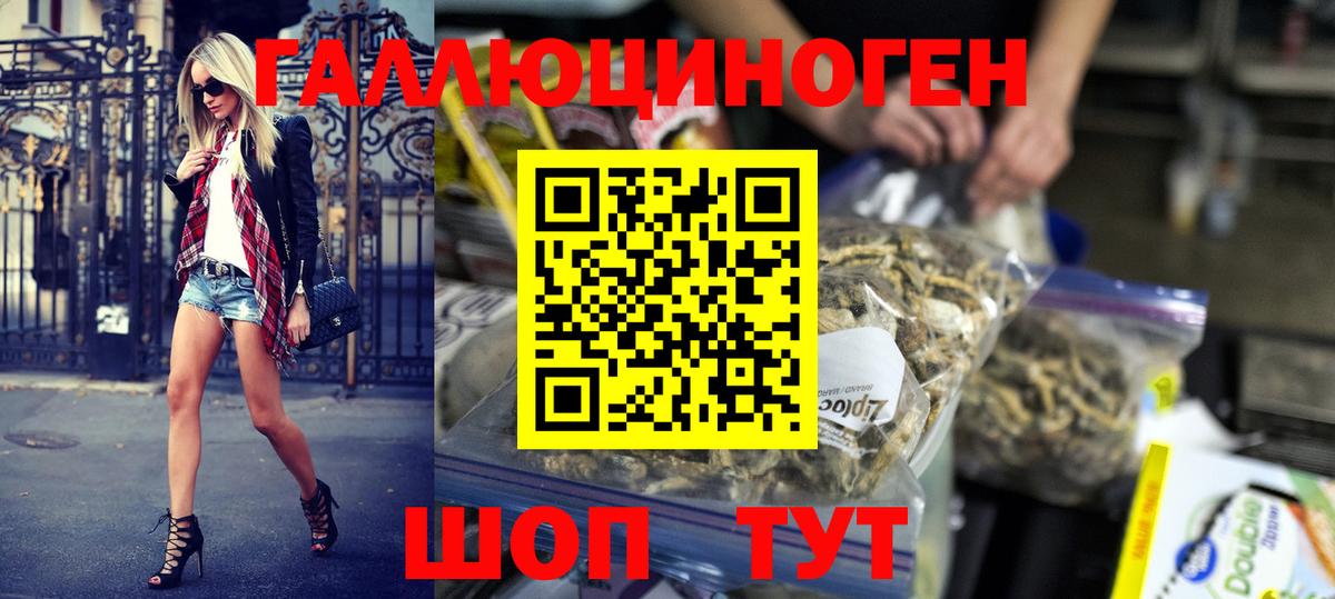 Псилоцибиновые грибы GOLDEN TEACHER  Вход с VPN  Белорецк  дарнет шоп  Псилоцибиновые грибы GOLDEN TEACHER 